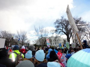 Rally Outside of the White House