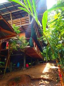 Our tree house.