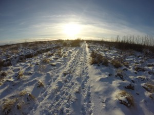 Finding footprints in the snow