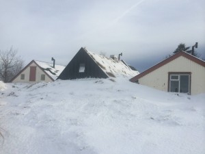 A series of turf houses, one of which we slept in for a night, located at Íslenski Bærinn. The turf houses were found throughout Iceland from settlement until the 1950s. This was by far one of the highlights in terms of learning about the Icelandic culture.