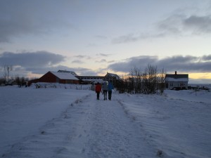 A nippy sunrise over Hannes and Kristín's turf museum. What better way to spend a bitterly cold Icelandic day than carving spoons?