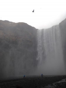 Skógafoss, one of the many waterfalls seen throughout our trip in South Iceland, and an example the astonishing geological features found in Iceland. Like the two boys running into the mists, our travels this semester let us feel as though we were becoming immersed in Iceland's natural world.