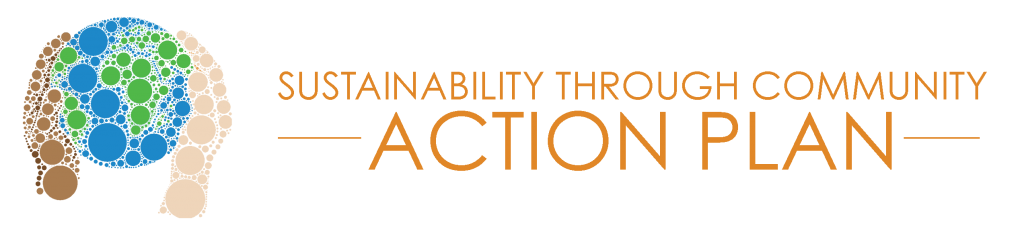 Action Plan Logo